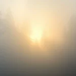 215+ Fog Captions For Instagram in 2026