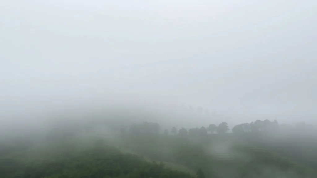 Short fog captions for instagram